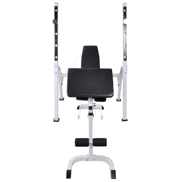 vidaXL Workout Bench with Weight Rack, Barbell and Dumbbell Set 120 kg