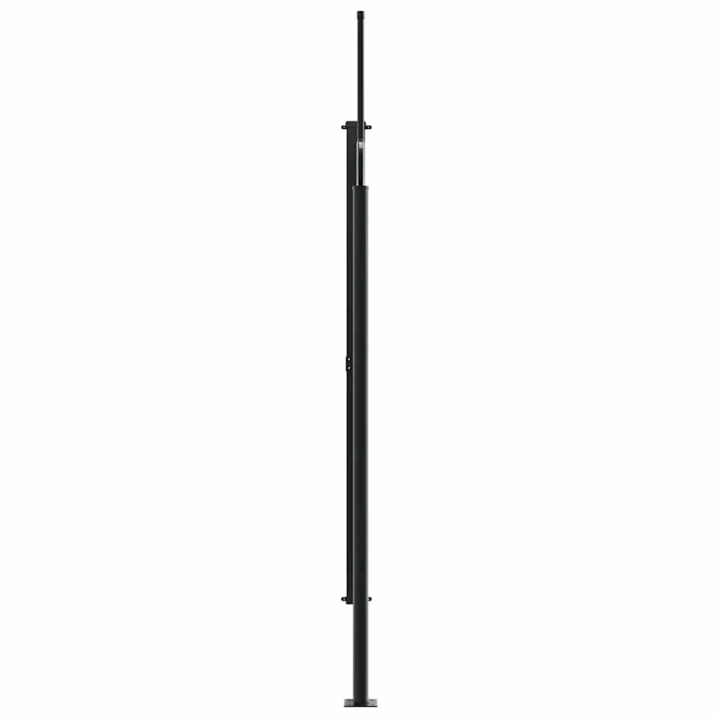 vidaXL Retractable Side Awning Anthracite 220x300 cm
