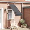 vidaXL Manual Retractable Awning 100 cm Anthracite