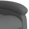 vidaXL Stand up Massage Recliner Chair Dark Grey Fabric