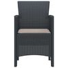 vidaXL Garden Chair 2 pcs Anthracite 53 x 49 x 85 cm PP