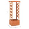 vidaXL Trellis Planter with Arch 49x39x117 cm Firwood