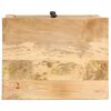 vidaXL Bedside Cabinet 45x35x60 cm Solid Mango Wood