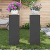vidaXL Plant Stands 2 pcs Black 24 x 24 x 75 cm Steel