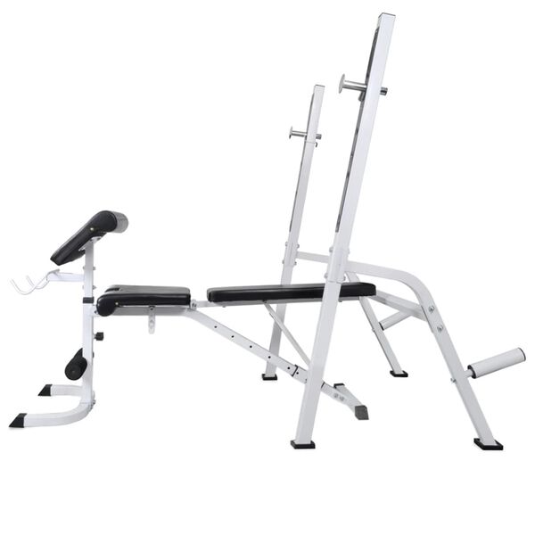 vidaXL Workout Bench with Weight Rack, Barbell and Dumbbell Set 120 kg