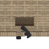 vidaXL Garden Sofa with Cushions 2-Seater Beige Poly Rattan&Acacia Wood