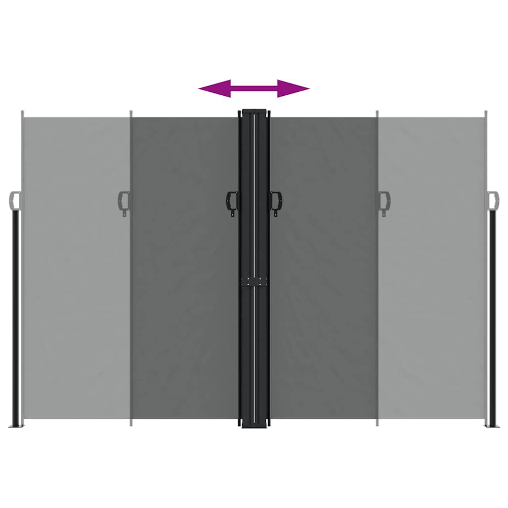 vidaXL Retractable Side Awning Anthracite 220x1200 cm