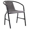 vidaXL Garden Chairs 2 pcs Plastic Rattan and Steel 110 kg