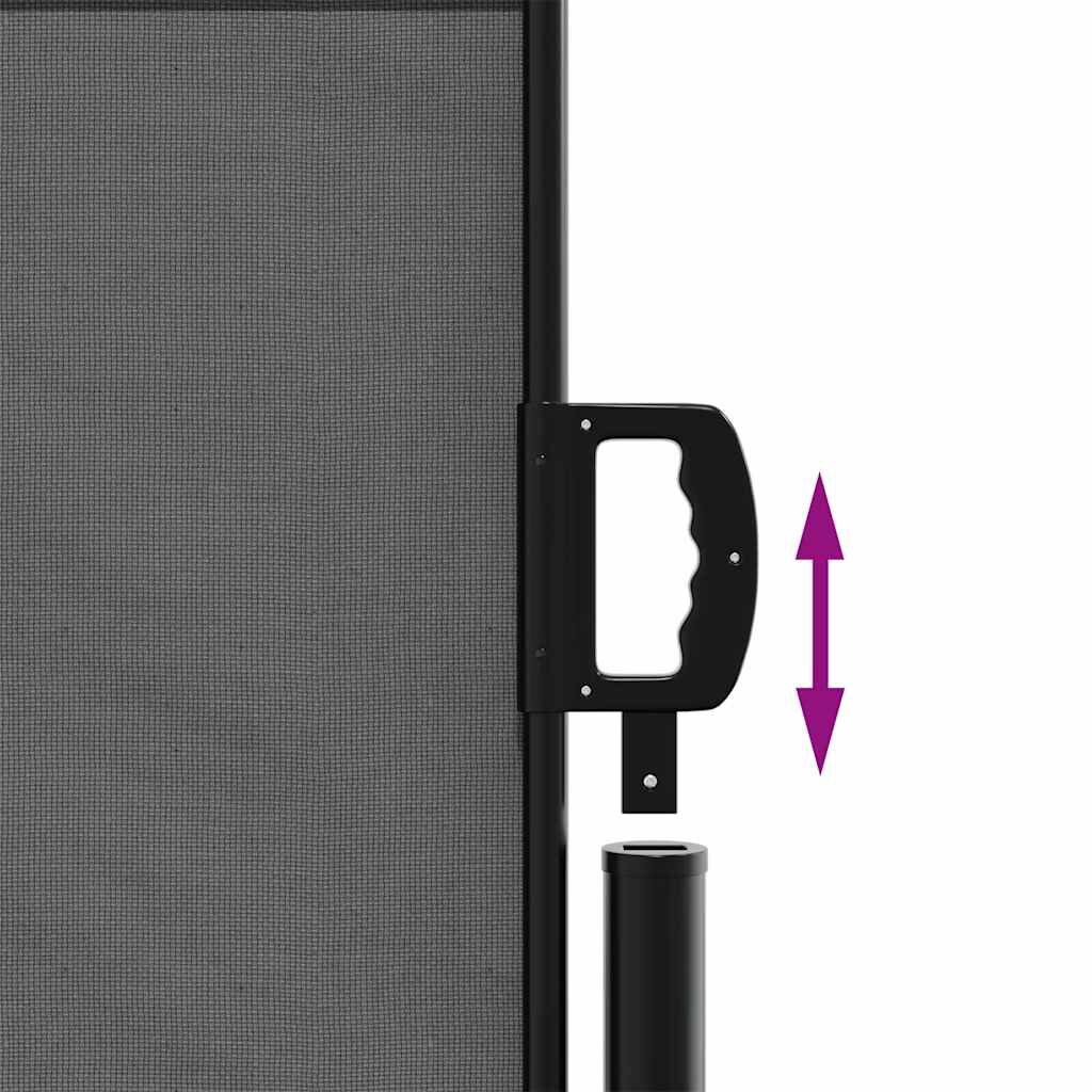 vidaXL Retractable Side Awning Anthracite 140x600 cm
