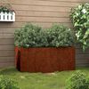 Product Thumbnail Image 2 of 11
