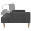 vidaXL 2-Seater Sofa Bed Dark Grey Fabric