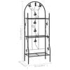 vidaXL 3-Layer Plant Rack Black 52x28x128 cm Iron