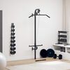 vidaXL Wall-mounted Home Gym with 2 Pulleys