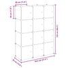 vidaXL Storage Cube Organiser with 12 Cubes and Doors Transparent PP