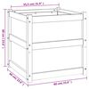vidaXL Garden Planters 2 pcs Solid Wood Pine