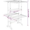 vidaXL 2-Tier Laundry Drying Rack with Wheels Silver 60x70x106 cm