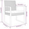 vidaXL Garden Dining Chairs 2 pcs Brown PP Rattan