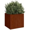 vidaXL Planters 2 pcs 49x47x46 cm Corten Steel