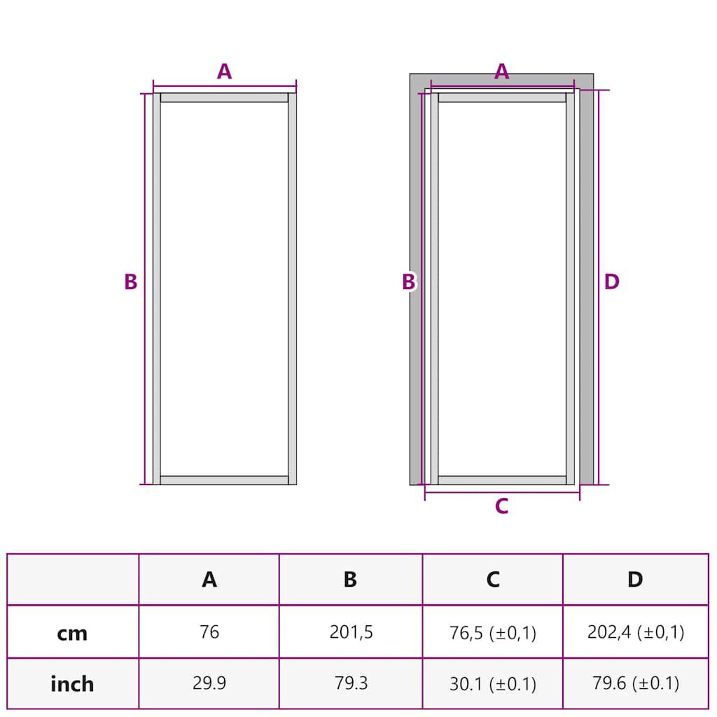 vidaXL Interior Door Black 76x201.5 cm Tempered Glass&Aluminium