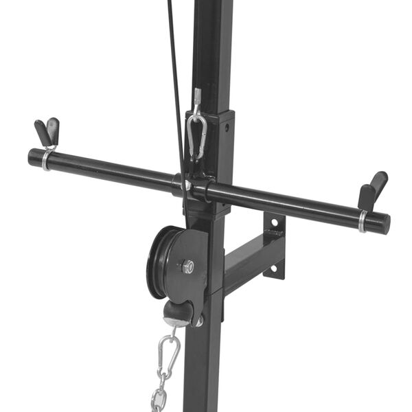 vidaXL Wall-mounted Home Gym with 2 Pulleys