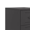 vidaXL Bedside Cabinet Black 36x39x59 cm Steel
