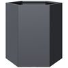 vidaXL Garden Planter 2 pcs Anthracite Hexagon 46x40x45 cm Steel