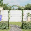 Garden Arch 2 pcs Climbing Plants