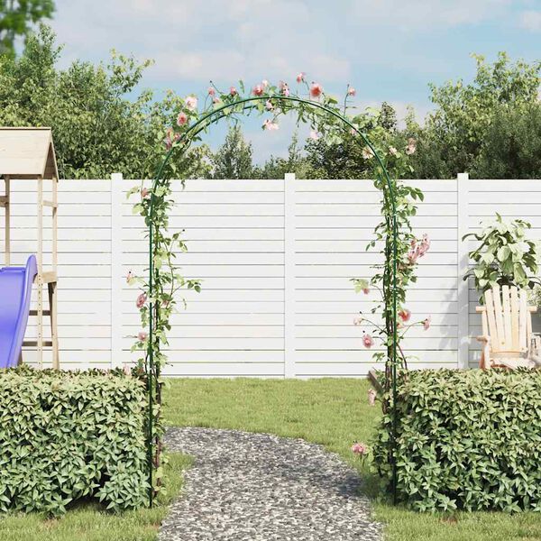 Garden Arch 2 pcs Climbing Plants