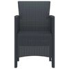 vidaXL Garden Chair 2 pcs Anthracite 53 x 49 x 85 cm PP