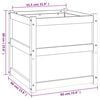 vidaXL Garden Planters 2 pcs Impregnated Wood Pine