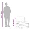 vidaXL Garden Sofa Armless with Cushions and Footstools