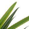 vidaXL Artificial Plant Yucca Tree with Pot Green 145 cm