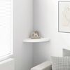 vidaXL Floating Corner Shelf High Gloss White 35x35x3.8 cm MDF