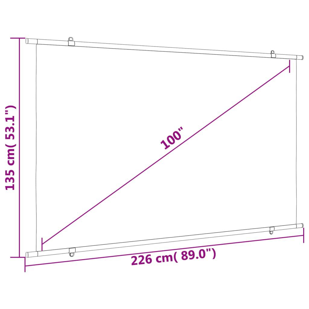 vidaXL Projection Screen 100" 16:9