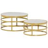 vidaXL 2 Piece Coffee Table Set Marble Brass and White