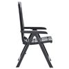 vidaXL Garden Reclining Chairs 2 pcs Plastic Anthracite