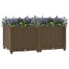 vidaXL Raised Bed 80x40x38 cm Polypropylene