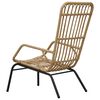 vidaXL Garden Chair Poly Rattan Light Brown
