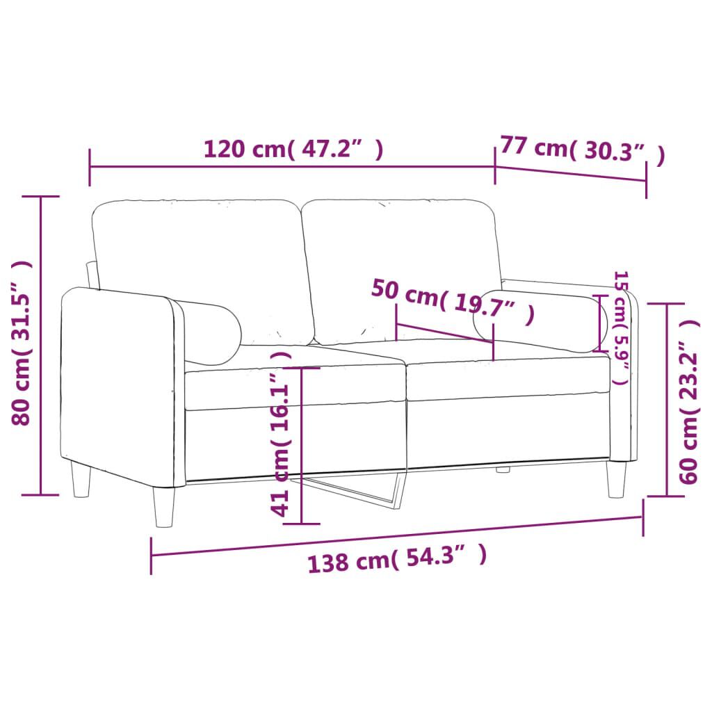 vidaXL 2-Seater Sofa with Throw Pillows Dark Grey 120 cm Velvet