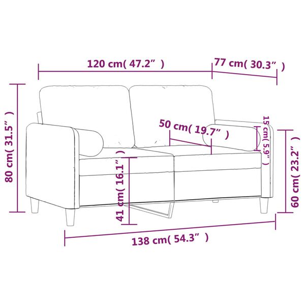 vidaXL 2-Seater Sofa with Throw Pillows Dark Grey 120 cm Velvet