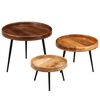 vidaXL Table Set 3 Pieces Solid Mango Wood and Steel