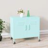 vidaXL Storage Cabinet Mint 60x35x56 cm Steel