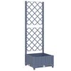 Blue_grey