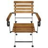 vidaXL Folding Garden Chairs 4 pcs Steel and Solid Wood Acacia