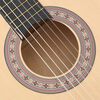 vidaXL Western Acoustic Cutaway Guitar with 6 Strings 38 Basewood