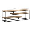 vidaXL TV Cabinet 130x30x45 cm Rough Mango Wood