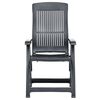 vidaXL Garden Reclining Chairs 2 pcs Plastic Anthracite