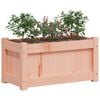 vidaXL Garden Planters 2 pcs Solid Wood Douglas
