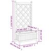 Product Thumbnail Image 9 of 9