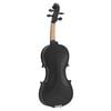 vidaXL Violin Full Set with Bow and Chin Rest Black 4/4